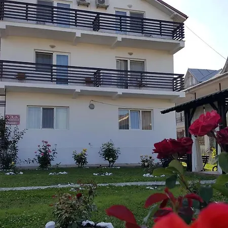 Vila Trandafirilor Costinești-3
